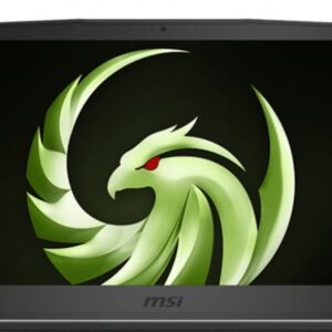 Ecran original  MSI BRAVO 15 MS-16WK